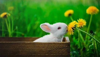 梦剧场重建序章？卡里克力荐新援，曼联夏窗引援风云再起